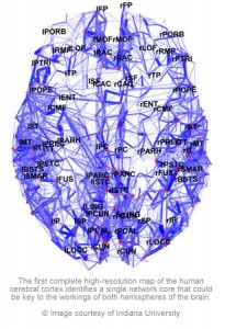 map-of-brain