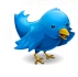 twitt-sm1