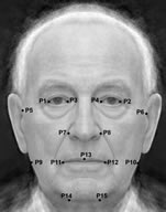 Average face of 50 men from the sample with the 15 landmarks used for symmetry measurements.