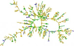 the_lonely_network