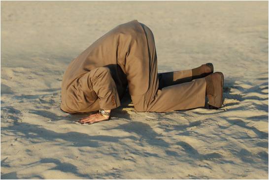 head-in-the-sand head-in-the-sand