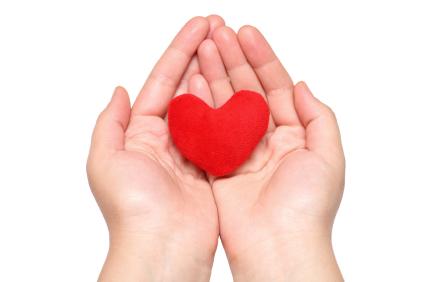 red heart in the hands